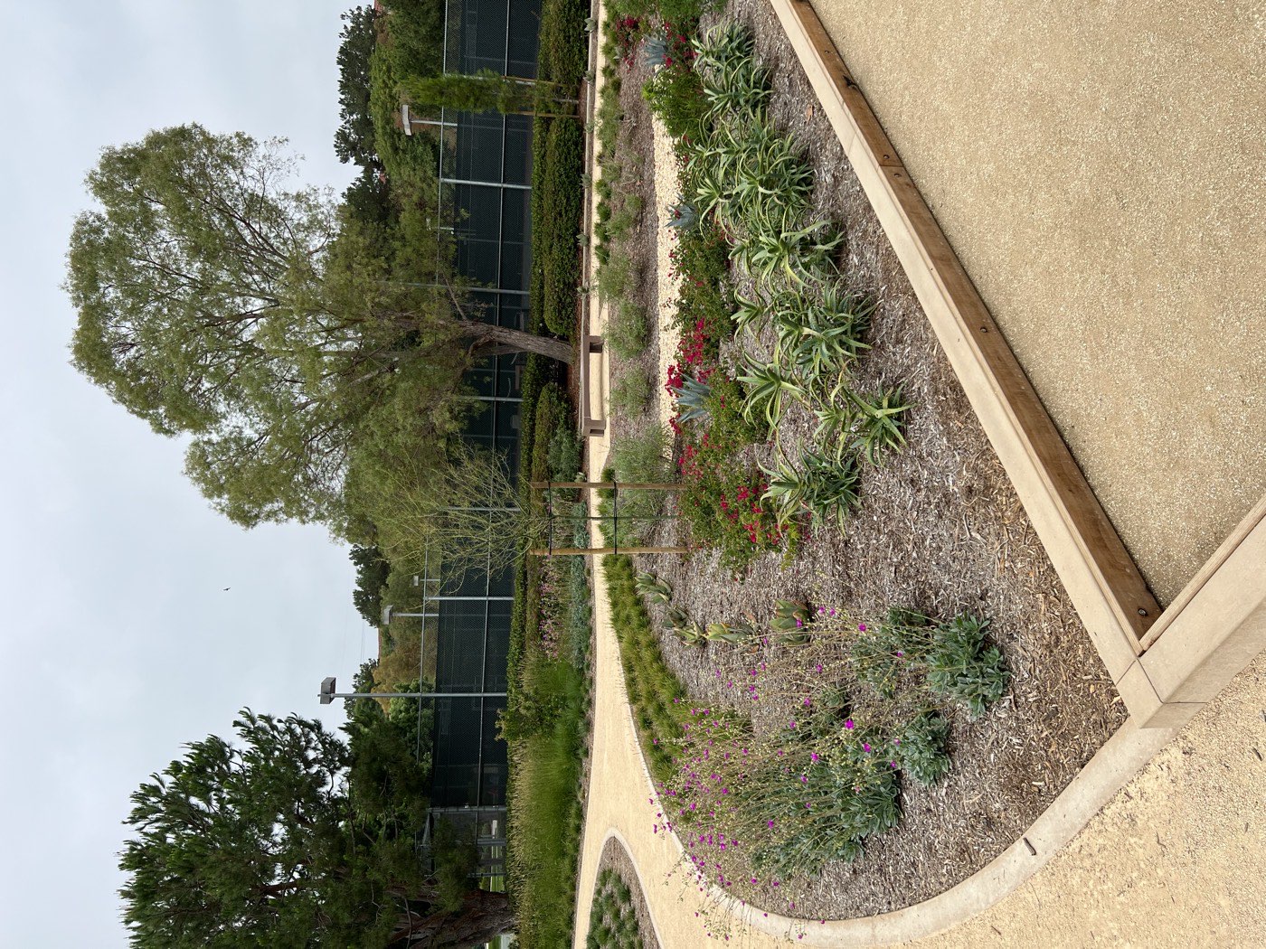 Curved decomposed-granite walking trail with concrete curbing and landscaped planter beds at a public park