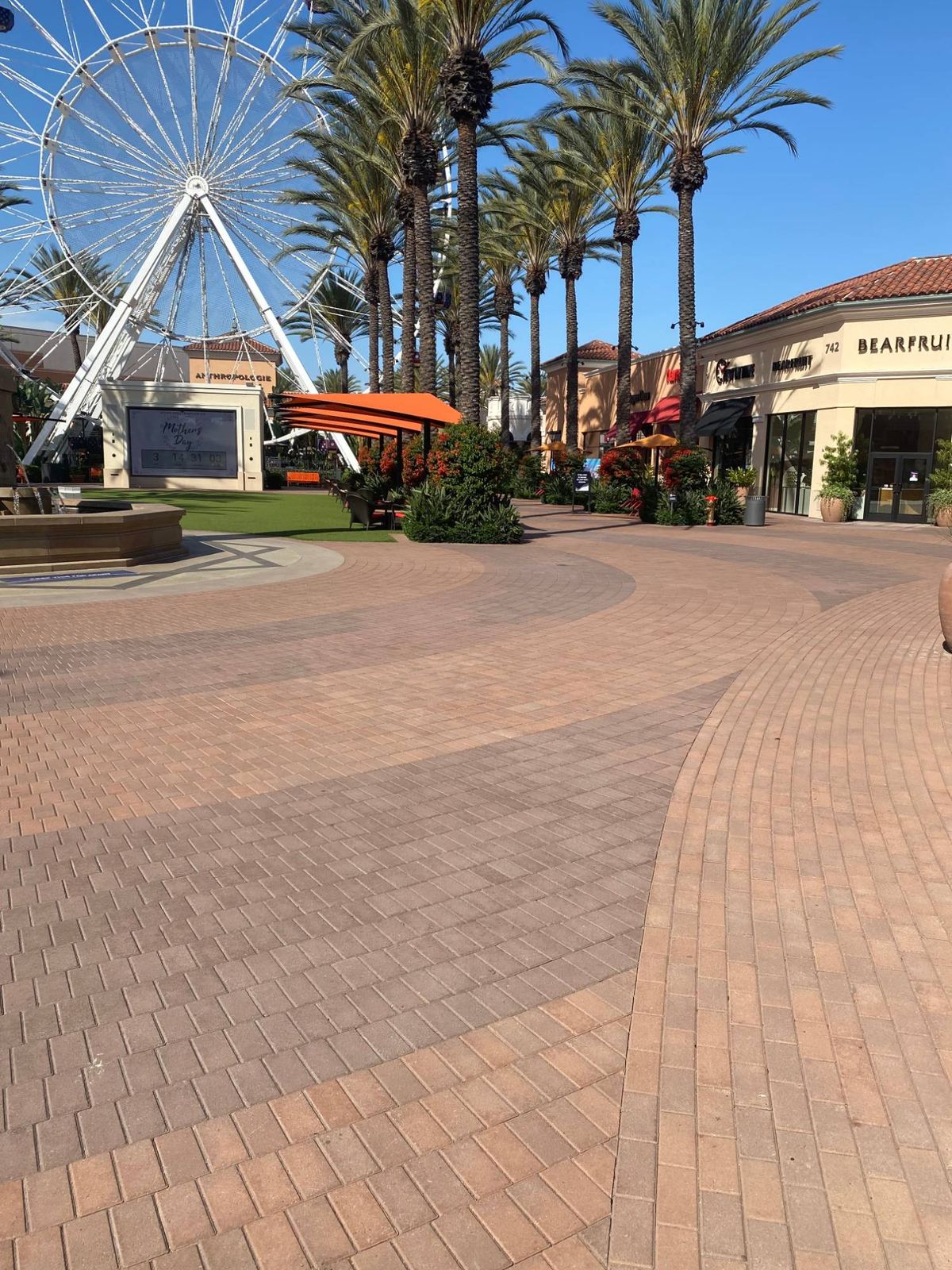 Paver walkway and hardscape at an outdoor shopping center with palm trees and storefronts